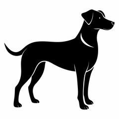 black dog vector file and  Silhouette