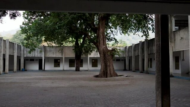 isolated vacant building with big tree at the center at day from flat angle