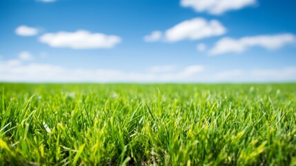 Obraz premium Vibrant artificial turf football field ideal for sports enthusiasts and activities