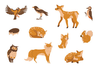 set animals forest birds