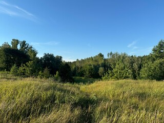 Obraz premium nature in the villige