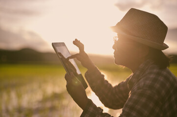 In the twilight after a day of rice planting, an Asian female farmer sits in the middle of the field, using her iPad to assess her progress, illustrating the role of technology in modern agriculture.