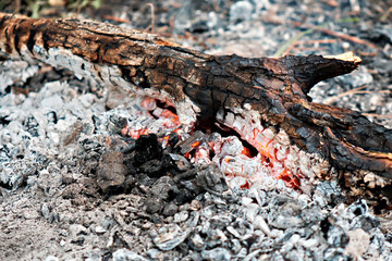 A close-up of a burnt log with the remains of a flame.