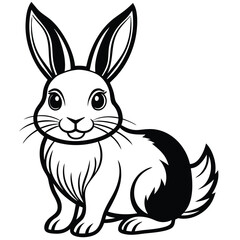 Obraz premium cute white rabbit