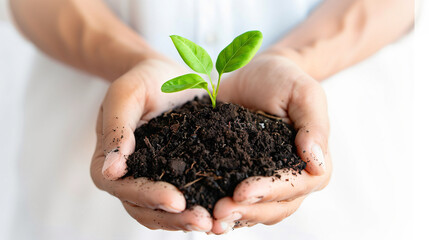 Close-up of hands holding soil with a small green plant, symbolizing growth, nurturing, and the concept of environmental sustainability.