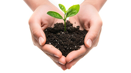 Hands holding a young plant in soil, symbolizing growth, nature, and environmental conservation on a white background.