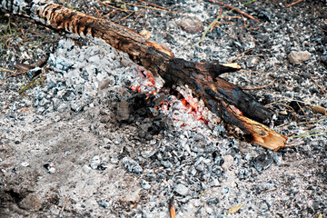 Burnt logs. Remains from the hearth. Firewood for kindling.