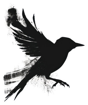 recommend clip art: PNG Bird shape silhouette blackbird agelaius