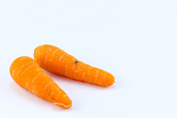 two fresh orange carrots on a white isolated background