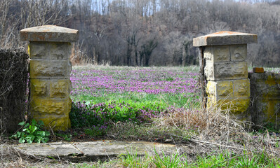 Home is Gone But Entrance Remains