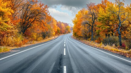 Obraz premium A picturesque highway in a beautiful autumn landscape, with trees in full fall colors lining the road