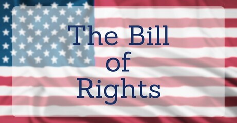 Fototapeta premium The American Constitution