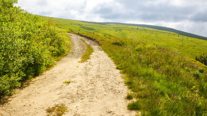 country dirt road through grassy highlands of transcarpathia, ukraine. travel carpathian mountain landscape in summer. sunny scenery beneath a heavy gray clouds