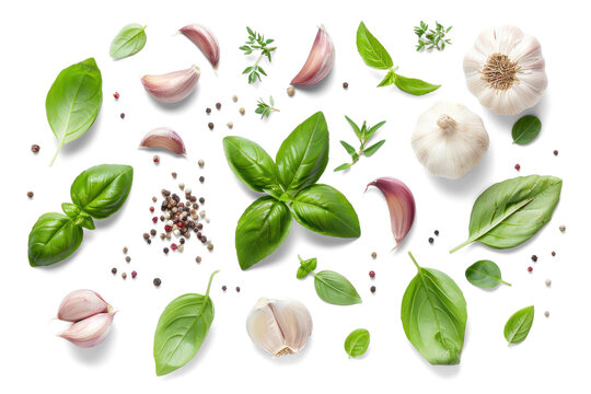 Fresh Herbs and Garlic on Transparent Background