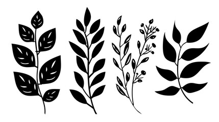 Fototapeta premium Elegant Botanical Silhouette Leaves and Branches in Minimalist Black and White Style