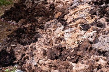 A pile of dirty, tangled wool