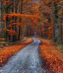 Fototapeta premium Autumn Road Through The Forest