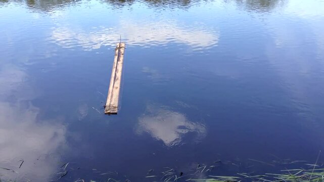 Trash floating in the river