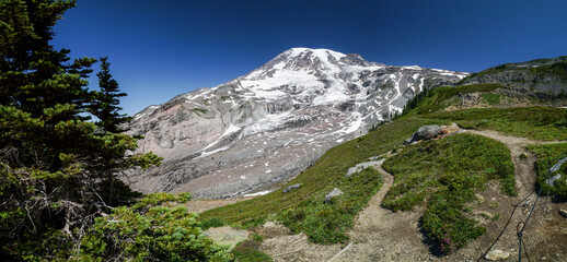 A mountain with snow on it and a tree in the foreground