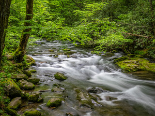 Oconaluftee River along the Newfound Gap Road in the Great Smoky Mountains National Park in North Carolina USA