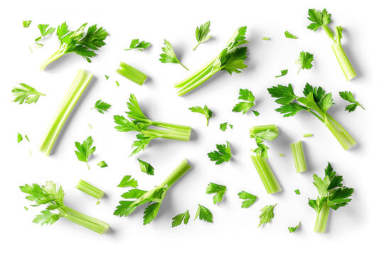 Fresh Celery Sticks and Leaves