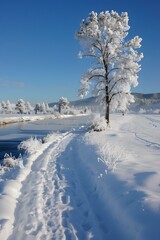 Obraz premium Snowy Path by the River