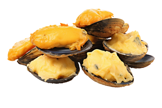 Baked Mussels with Cheese Isolated components on a white background. Showing mussels melted cheese and biscuits clearly isolated on a white background