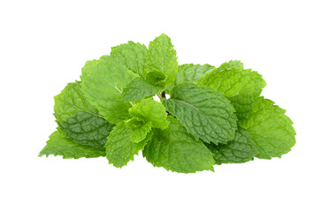 mint leafs isolated on transparent png