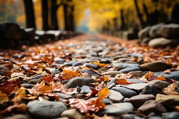 Fall leaves scattered across stone path in park