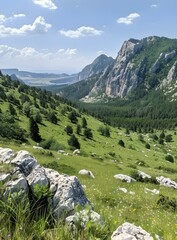 Mountain Valley View with Green Grass and Trees