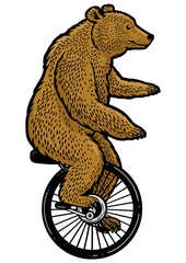 unicycle cartoon circus bear color line art sketch engraving PNG illustration. T-shirt apparel print design. Scratch board imitation. Black and white hand drawn image.