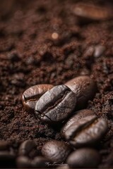 Closeup of mixed heap of roasted coffee beans and ground coffee with copy space.