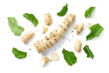Fresh Horseradish Root and Green Leaves
