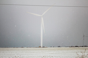 Sea, seashore  - Europe, Romania, Constanta region
