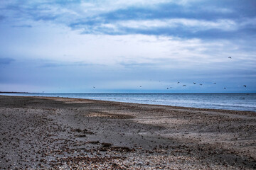 Sea, seashore  - Europe, Romania, Constanta region