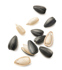Flying sunflower seeds isolated on white background. Set for cereal and snacks