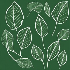 green leaf background