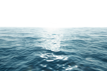 Calm ocean waves isolated on white background. Sea surface