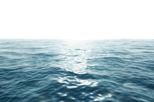 Calm ocean waves isolated on white background. Sea surface