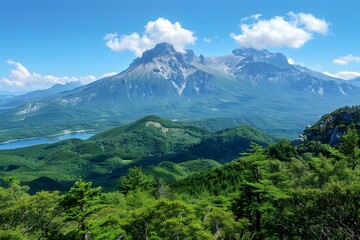 Scenic View of Mountain Range and Lush Green Forest