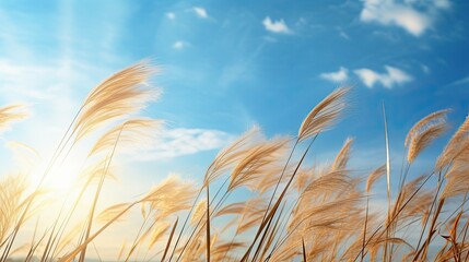 Obraz premium clouds light blue sky background