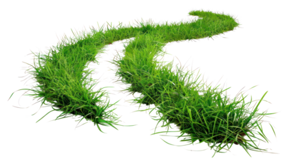 PNG Winding grass path isolated white