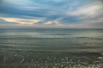 Sea, seashore  - Europe, Romania, Constanta region