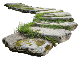 PNG  Stone pathway with green grass