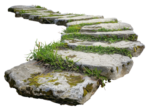 PNG  Stone pathway with green grass