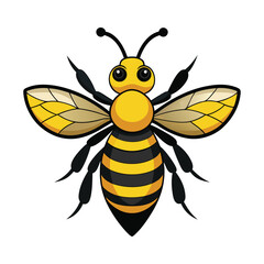 illustration of bee insect on white