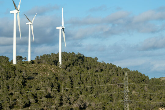 Three wind turbines are seen among dense forest trees on a sunny hillside, representing the development of technology harmonizing with natural environments.