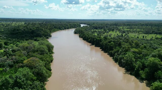 Rio Amaz&ocirc;nia Mangue Ilha Maraj&oacute; Salvaterra A&ccedil;a&iacute; Floresta Biodiversidade Fauna Flora Natureza Ecoturismo Paisagem Rural Comunidade Ind&iacute;gena Vegeta&ccedil;&atilde;o Costeira Navega&ccedil;&atilde;o Barcos Tradi&ccedil;&atilde;o