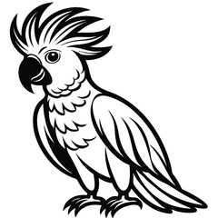 Vector image of a cockatoo parrot black