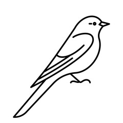 Bird, line icon. Songbird, side view - head, beak, wing, feathers. Linear illustration, outline vector, editable strokes